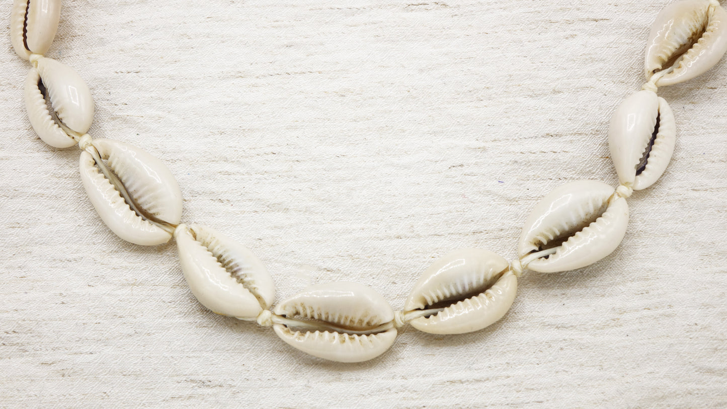 Cowrie Shell Choker Necklace