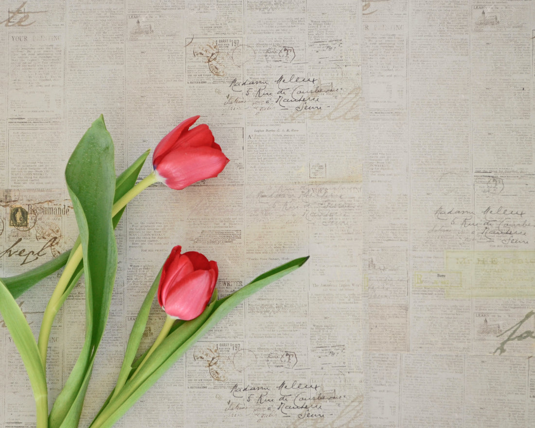 Tulip - Symbol of desire, red and spring - Verna Artisan Works - Thoughtfully curated, consciously handcrafted items by artisans. Unique, ethical, sustainable, fair trade. Preserving culture, empowering women.