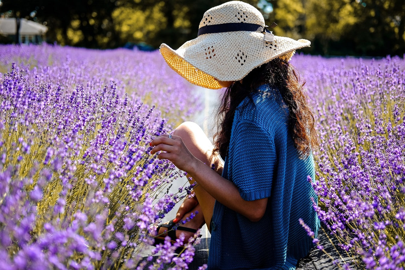 Lavender Collection